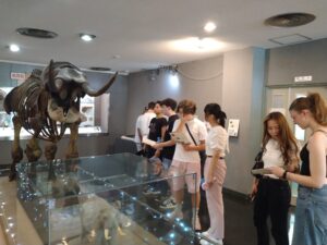 DSC_0538(2)