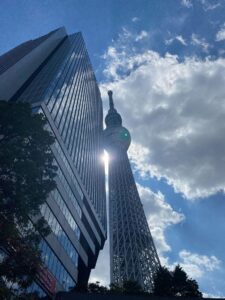 IMG_8144