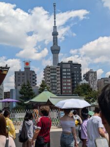 IMG_8187
