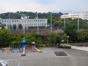 IMG_8207