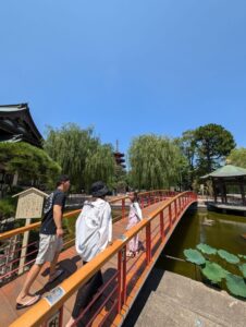 IMG_8300