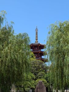IMG_8301