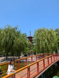 IMG_8302