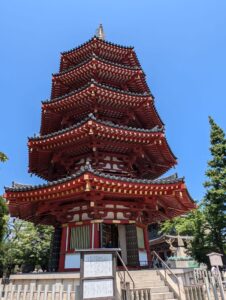 IMG_8307