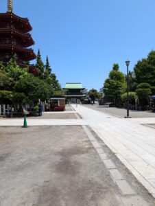 IMG_8310