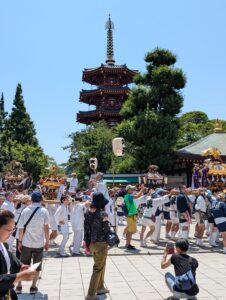IMG_8313