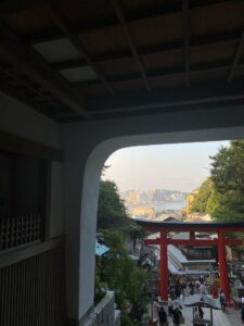 IMG_8391