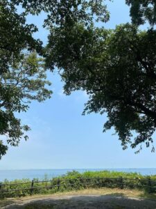 IMG_8403