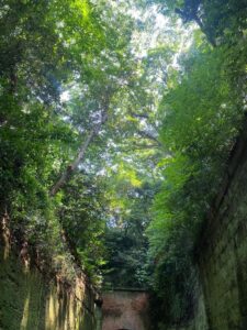 IMG_8407