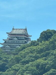 IMG_9587